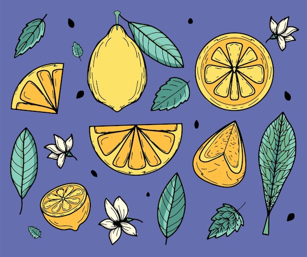 落書きスタイルの夏のデザインのために手描きのジューシーなレモンのセット