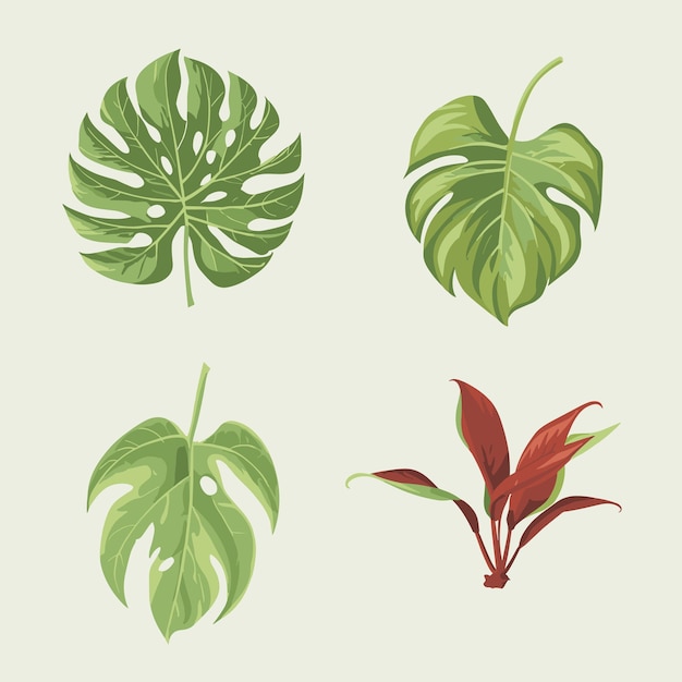 Vector a set of jungle leaves