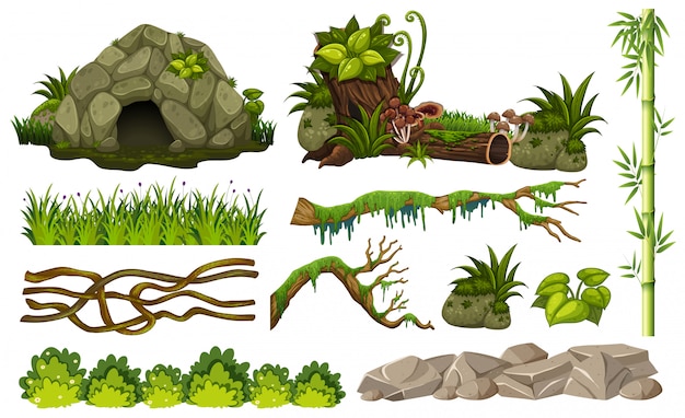 Vector set of jungle objects