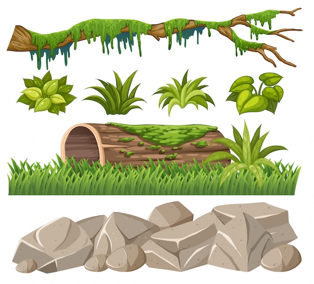 Set of jungle objects