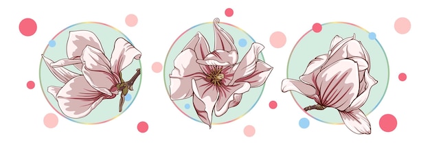 Vector set kaarten met magnolia en lotusbloemen geïsoleerd in een turquoise cirkel op een witte achtergrond