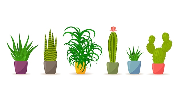 Set kamerplanten in potten