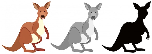 Vector set of kangaroo character