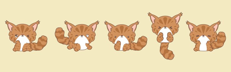 Vector set of kawaii isolated maine coon cat collection of vector cartoon cat illustrations for stickers