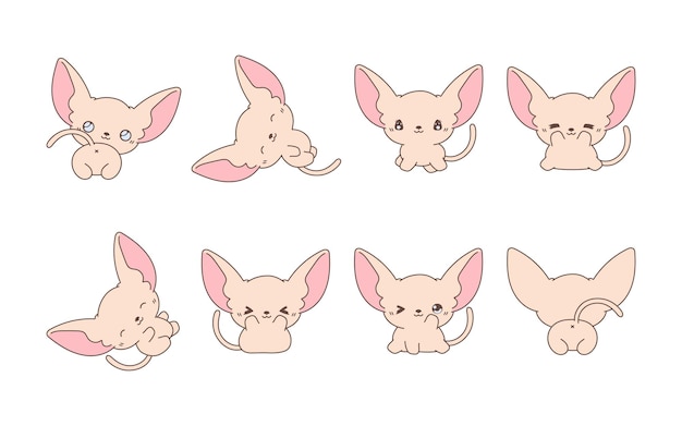 Vector set of kawaii isolated sphynx cat collection of vector cartoon baby cat illustrations for stickers