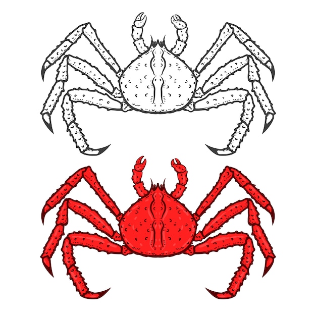 Set di icone di granchio rosso re isolato su sfondo bianco. frutti di mare. elementi per logo, etichetta, emblema, segno, marchio. illustrazione.