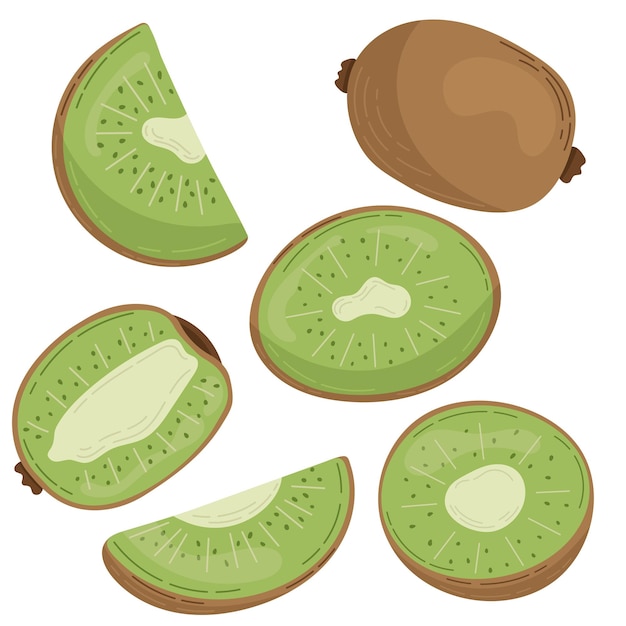 A set of kiwi fruit drawn in a flat style slices and halves of fruit A set of stickers