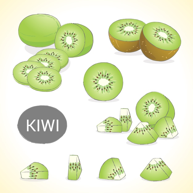 Vector set of kiwi fruit in various styles vector format