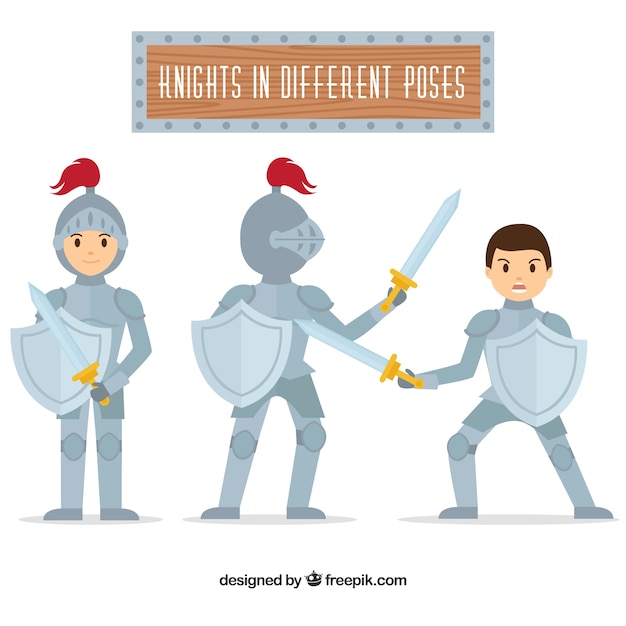 Set of knights with shields in different postures