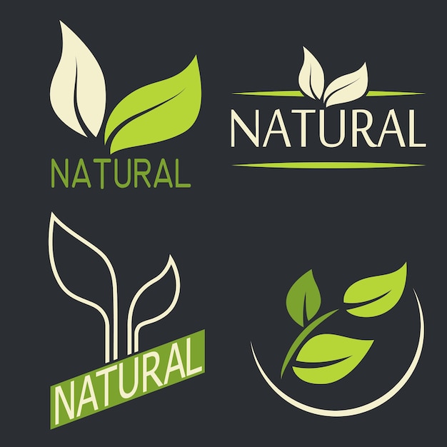 Set of labels logos with text Natural eco food Organic food badges in vector cosmetic food