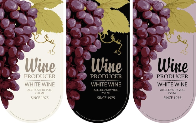set of labels for wine bottles