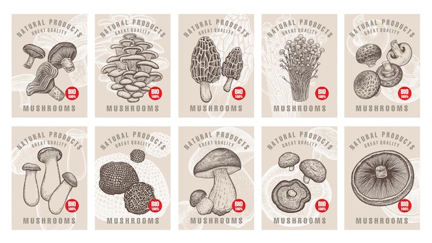 Vector set of labels with mushrooms for shops and markets of organic vegetarian food