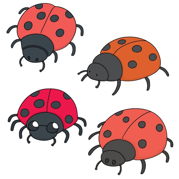 Set of ladybug