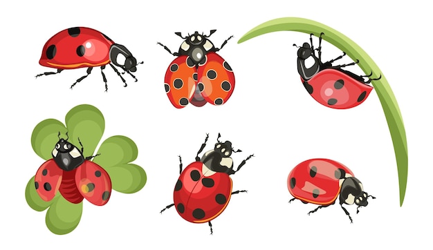 Set of Ladybugs, Funny Red Insects with Eyes and Dots