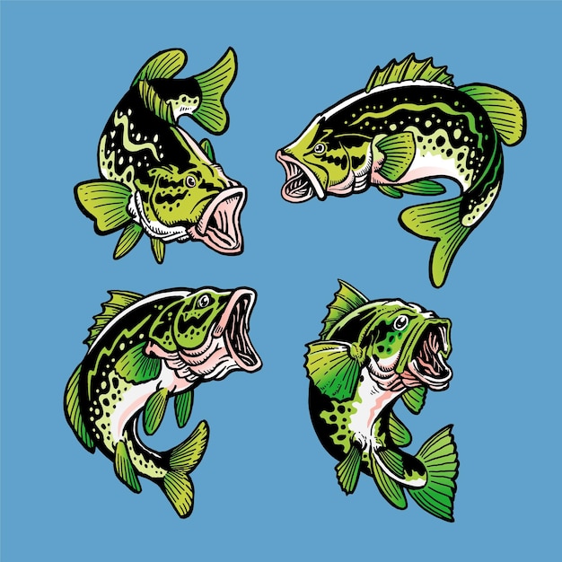 Set of largemouth bass fishes