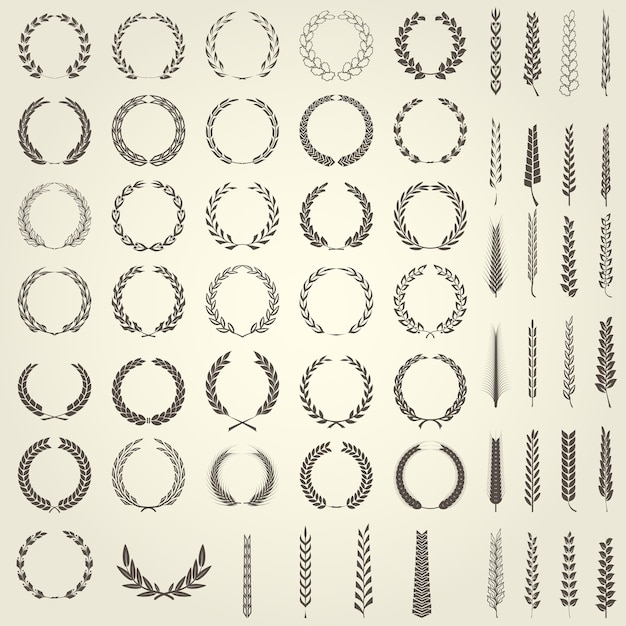 Vector set lauwerkransen en oren van tarwe in heraldische stijl