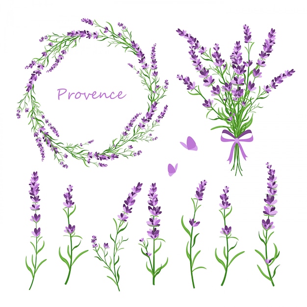 Vector set lavendel bloemen, boeket, krans en elementen van ontwerp voor wenskaart op witte achtergrond in retro vlakke stijl, provence concept.