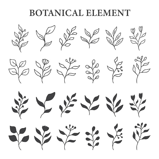 Set di elemento botanico foglia