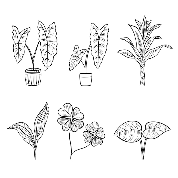 Set of leaf hand drawn line doodle aesthetic decoration