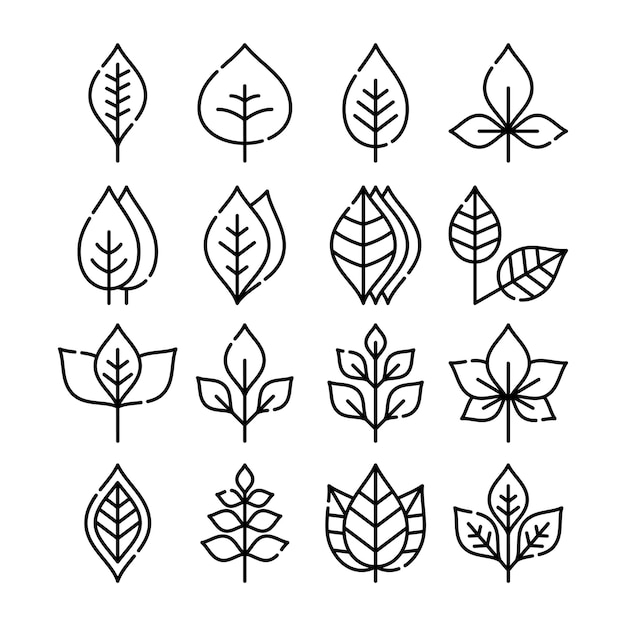 Set of leaf line art vector