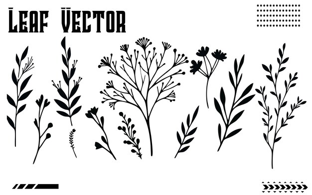 Set di vettori a foglia sullo sfondo bianco