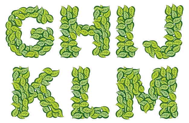 Set of leaves alphabet