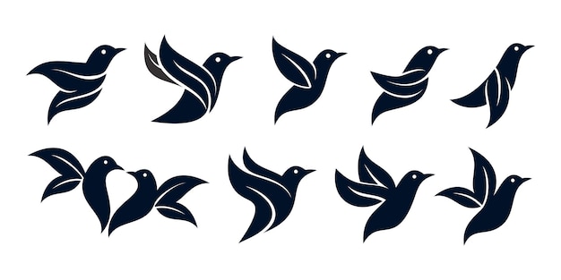 Set di foglie di uccelli o uccelli naturali logo design vettore premium