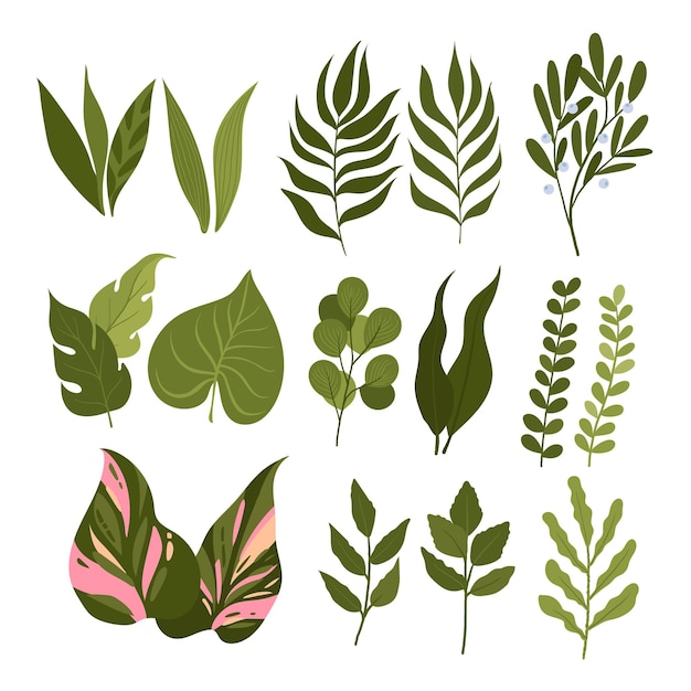 에코 장식을 위한 녹색 잎 요소가 있는 다양한 식물 포스터의 잎 세트