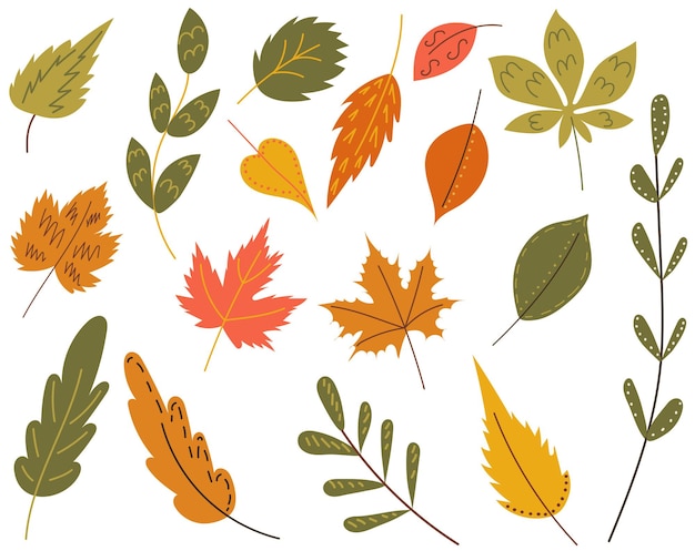 Set of leaves in doodle style vector