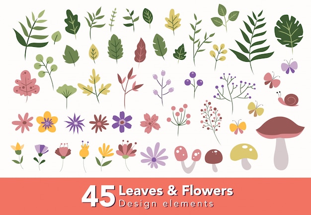 Set of Leaves and Flowers Design Element