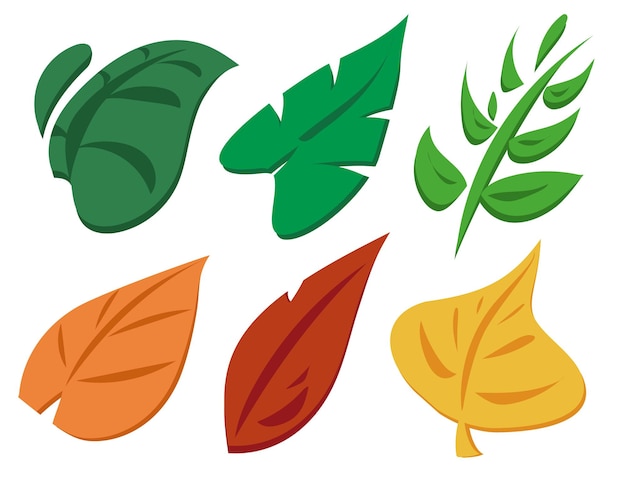 Vector set of leaves from different seasons