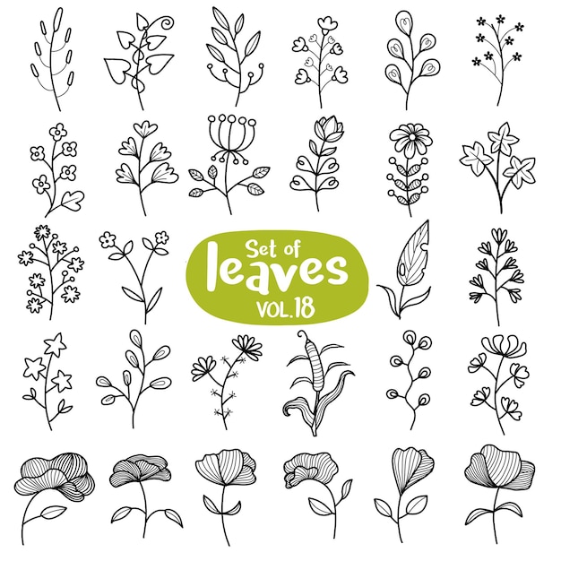 Set di foglie in stile linea componenti decorativi disegnati a mano fiore di design con bellezza ed eleganza ornamentale