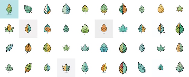 Vettore set di foglie contorno icona collezione di foglie icona foglia clip art icona foglia per il logo