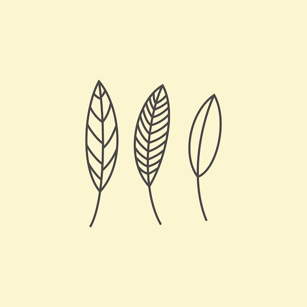 Vector set of leaves silhouettes in line style. plants structure