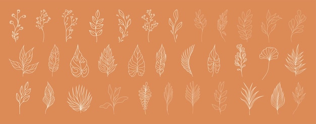 Set of leaves. Tropical plants. Herbarium. Perfect for herbal products designs.