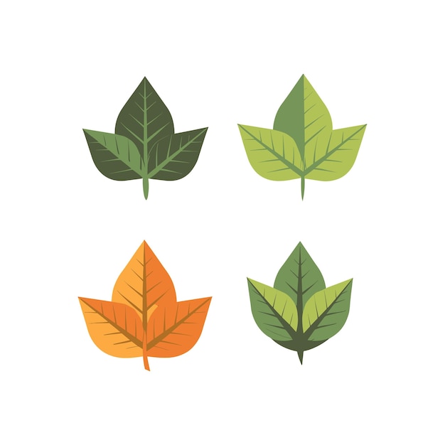 Vector set of leaves vector