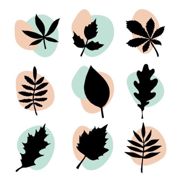 Set of leaves