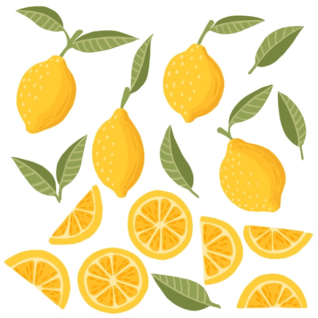 Set of lemon citrus yellow fruit whole halved and sliced with green leaves flat vector illustration on white background