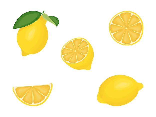 Un insieme di immagini di limone illustrazione vettoriale
