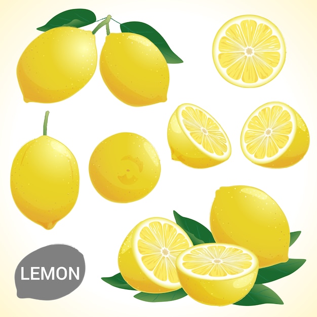 Vector set of lemon in various styles vector format