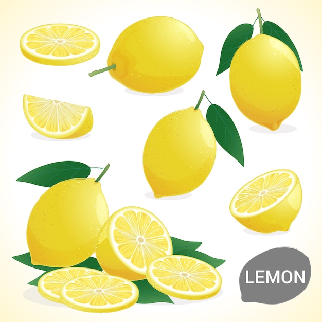 Set di limone in vari stili formato vettoriale