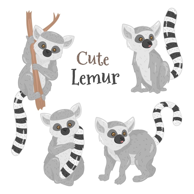 Vector set of lemur