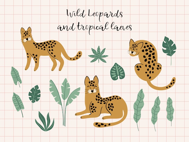 Set of leopards and tropical leaves.