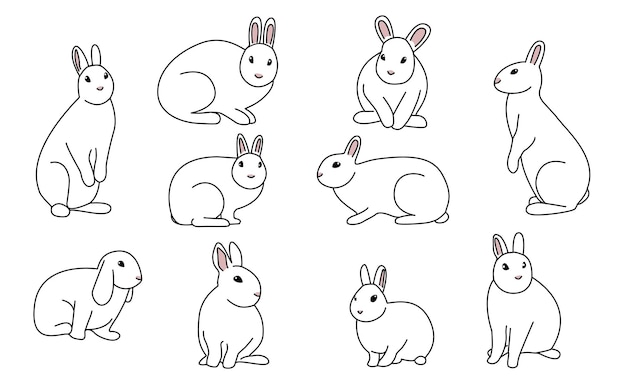 Set lijn kunst minimalistische konijnen overzicht Hand getrokken schattige dieren vector collectie