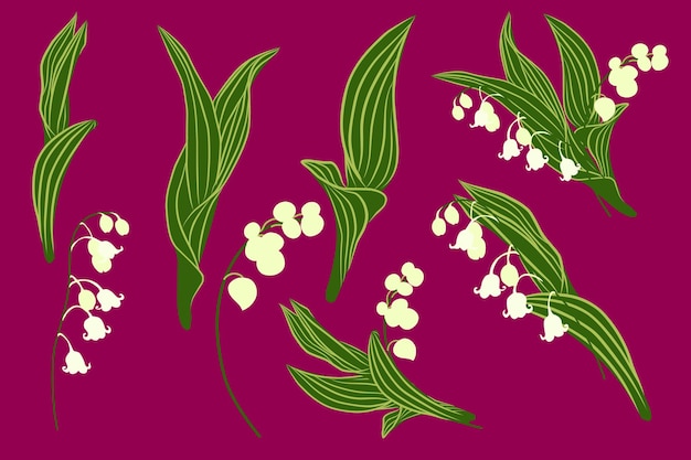 Set lilies of the valley. Spring set with lily of the valley flowers and herbs. Botanical illustrati