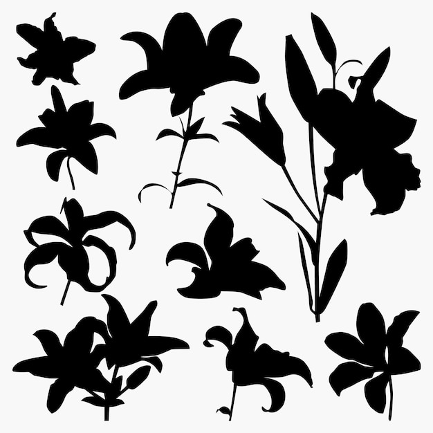 Vector set of lily flower silhouettes