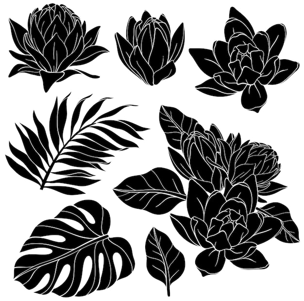 Vector set of lily flowers with monstera and palm leaves silhouettes