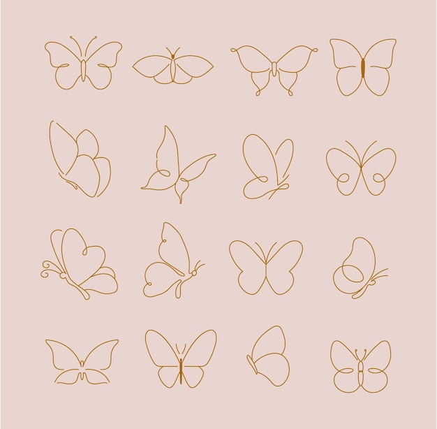 Vector set of line art butterfly illustration