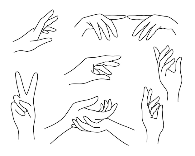 Set line art female hands different gestures elegant woman hands black outline isolated vector