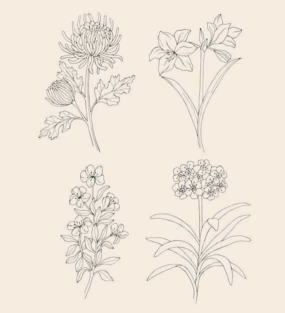 Set of line art flowers